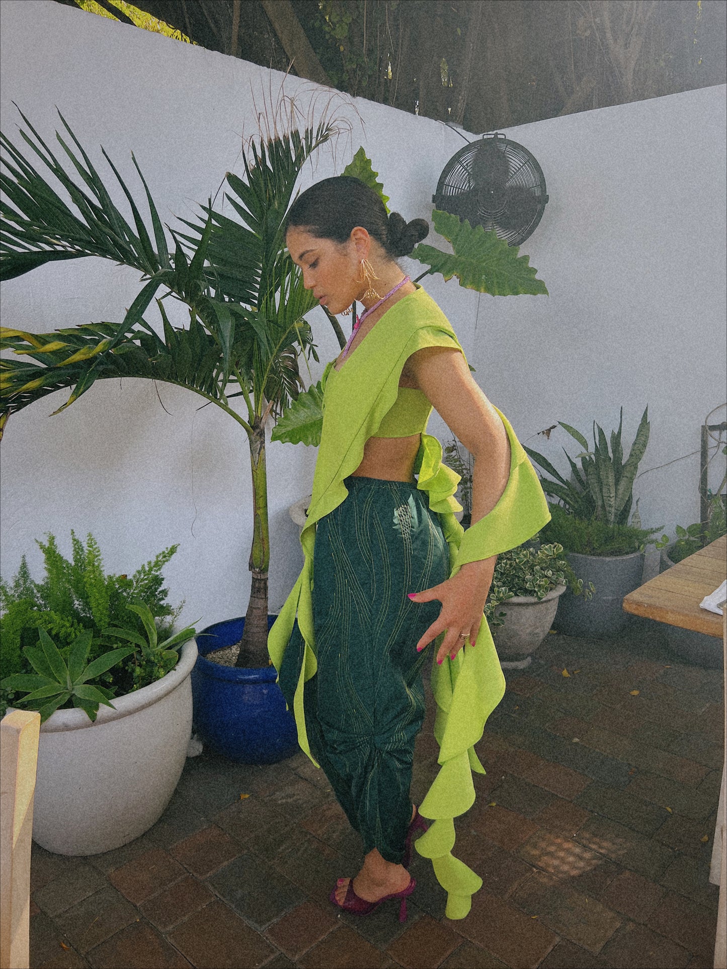 Alocasia Top